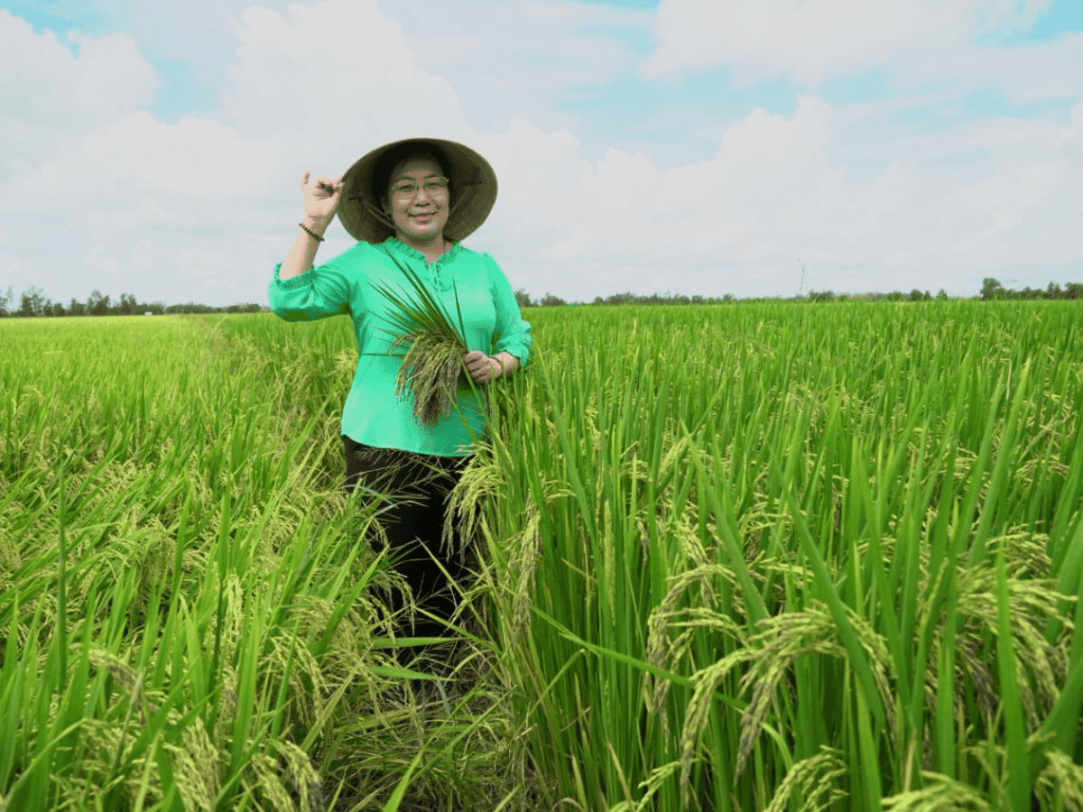 Kỹ sư Võ Thị Ngọc